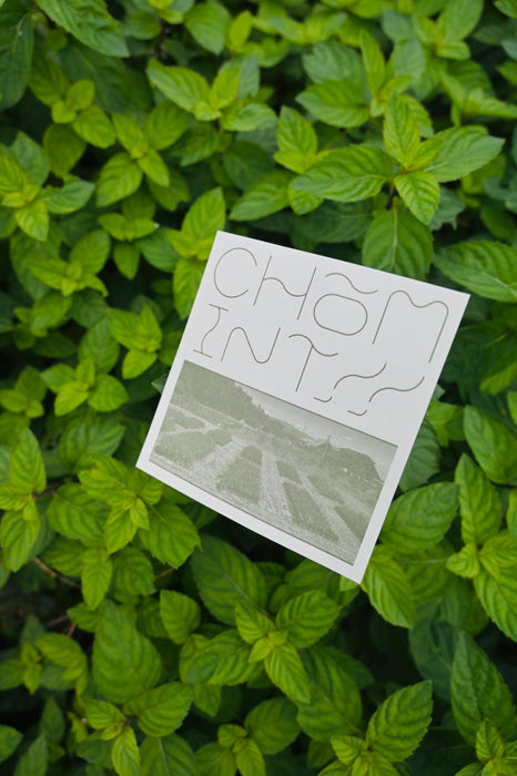 CHO-MINT！！限定50箱！