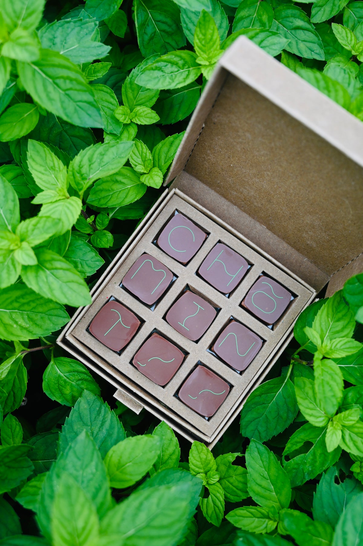 CHO-MINT！！ – socora_chocolate