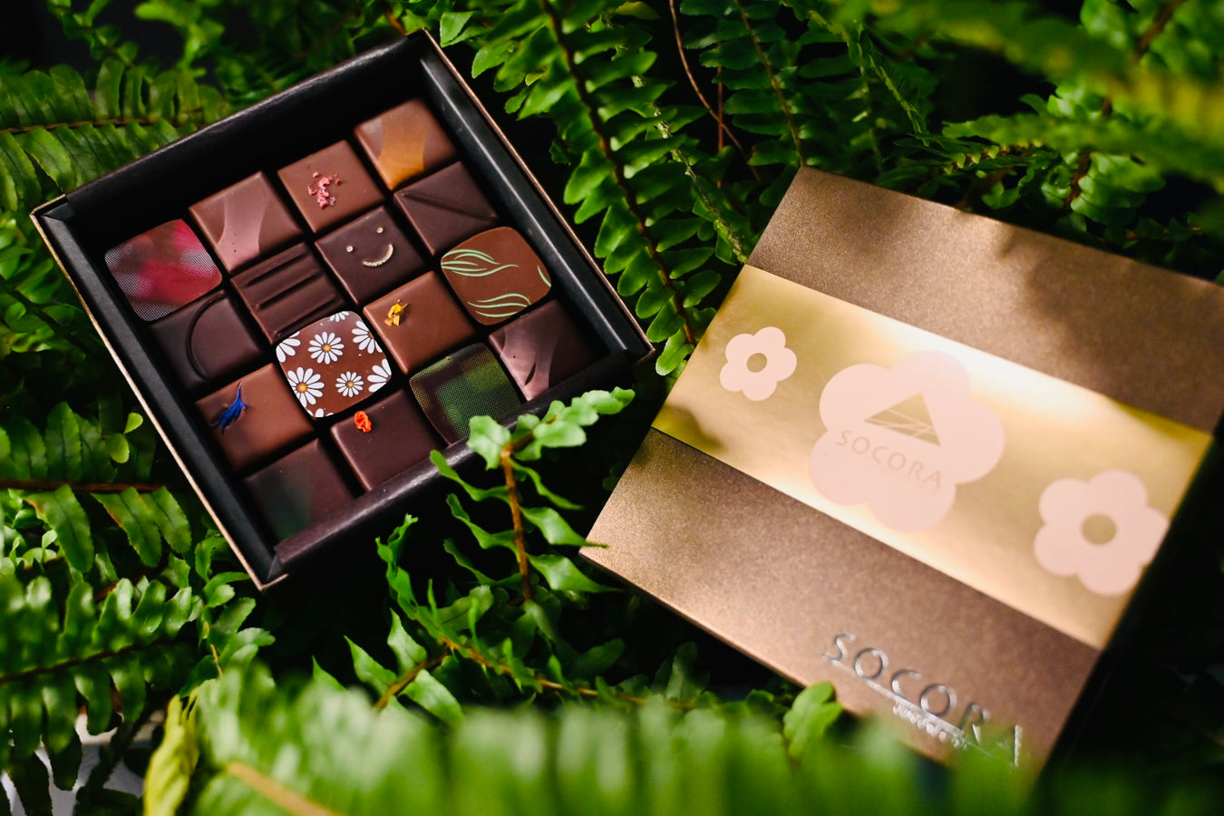 SOCORA bespoke chocolate lab | 青葉区若草台のチョコレートストアのオンラインショップ – socora ...