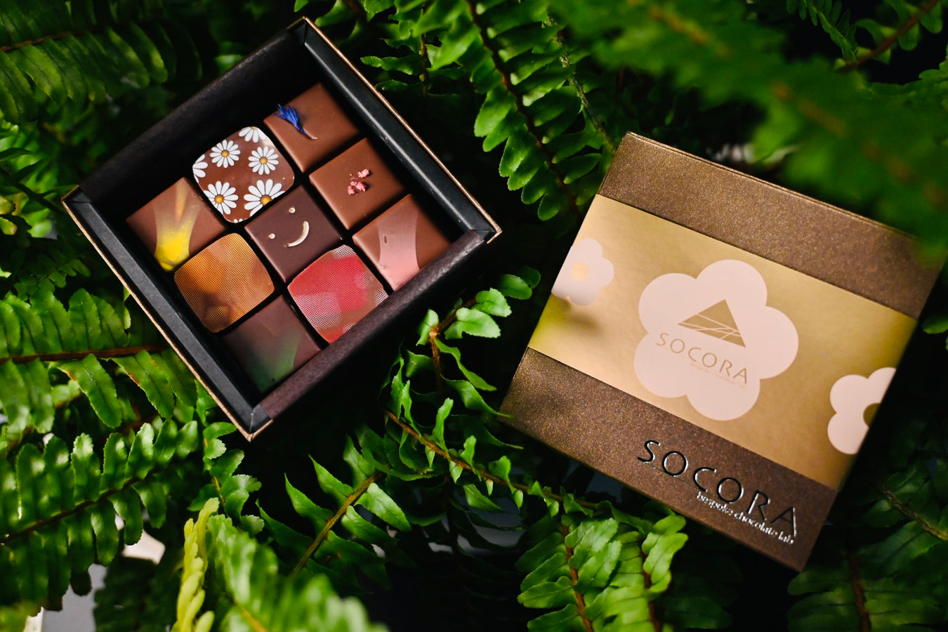 SOCORA bespoke chocolate lab | 青葉区若草台のチョコレートストアのオンラインショップ – socora ...