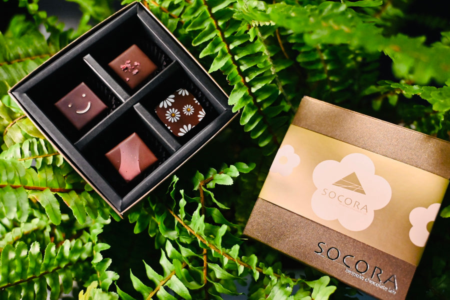 SOCORA bespoke chocolate lab | 青葉区若草台のチョコレートストアのオンラインショップ – socora ...